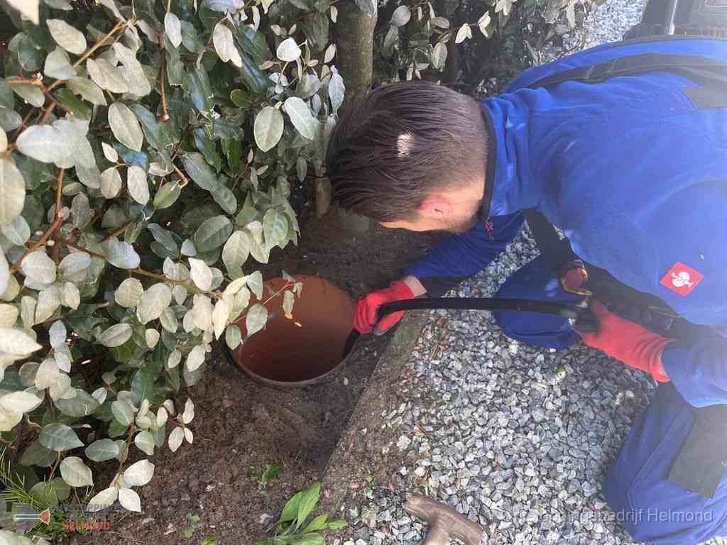 Rioolvliegjes Helmond Rioolvliegjes Helmond